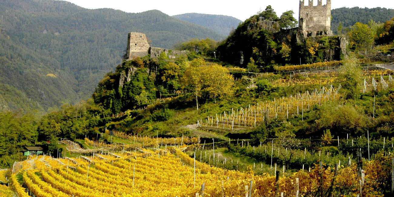 Castello di Segonzano  #4