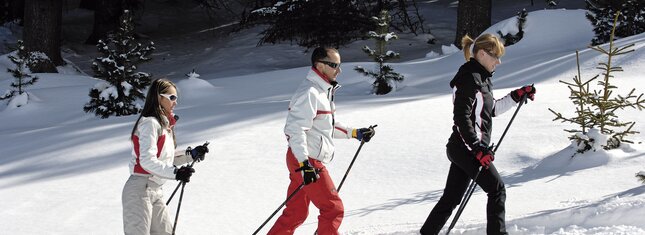 Val di Fiemme