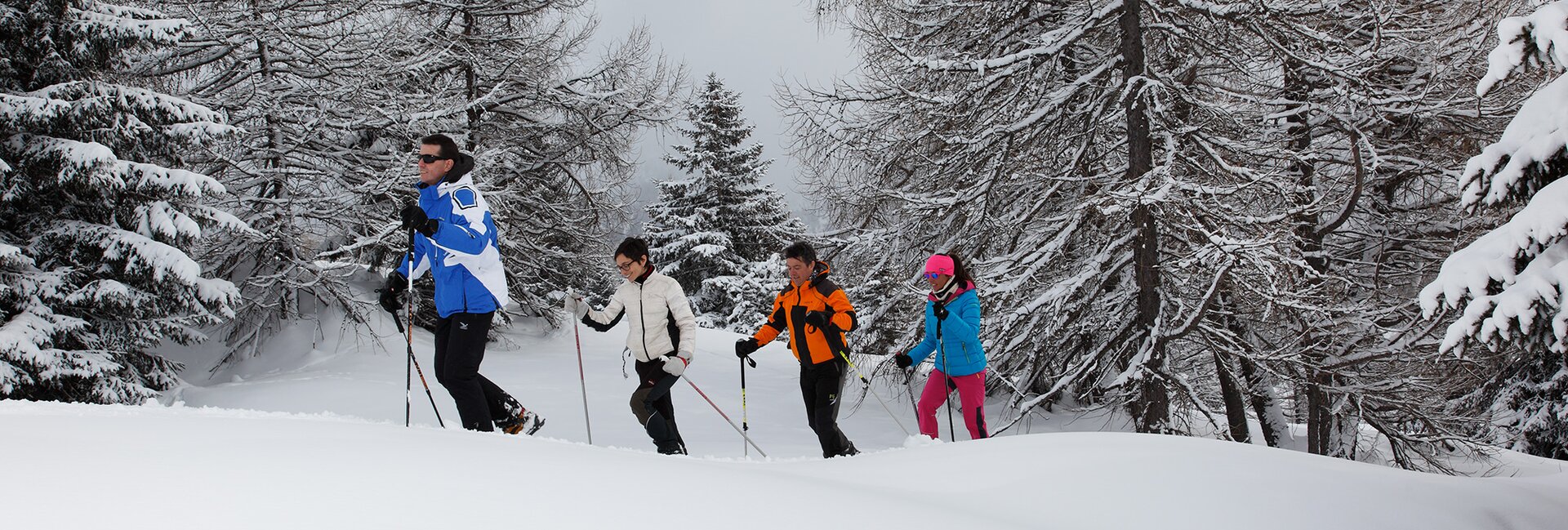 Offerte vacanza sulla neve in Val di Sole