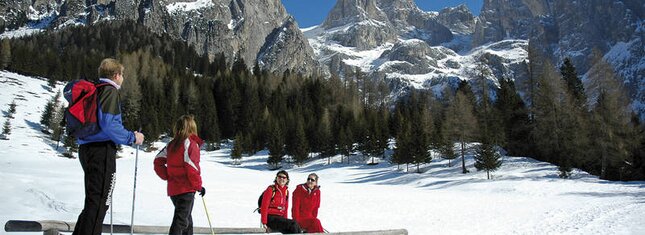 Ski resort San Martino di Castrozza / Rolle Pass Dolomites