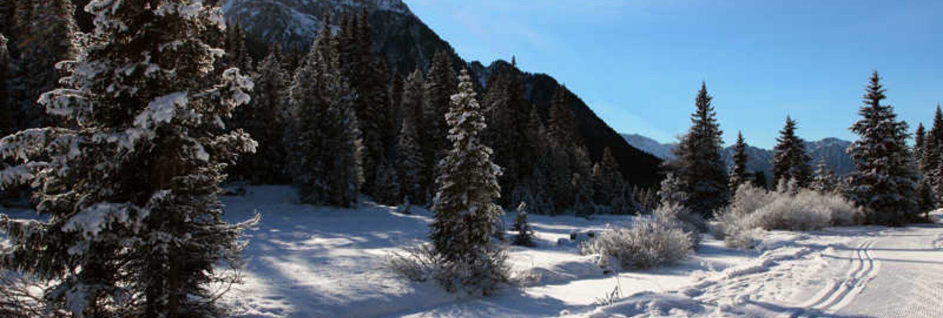 Cross-country skiing Italy, Val di Fassa, Trentino