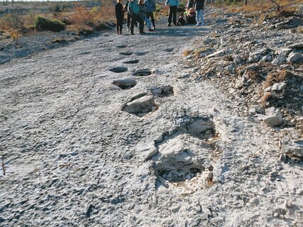 Orme dei dinosauri