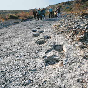 Orme dei dinosauri