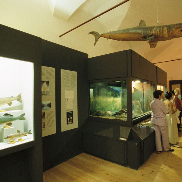 Science and Archaeology Museum, Rovereto