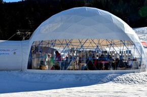 Biblioigloo