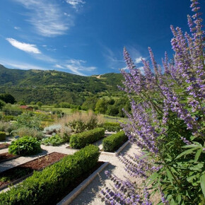 Il giardino botanico di Brentonico