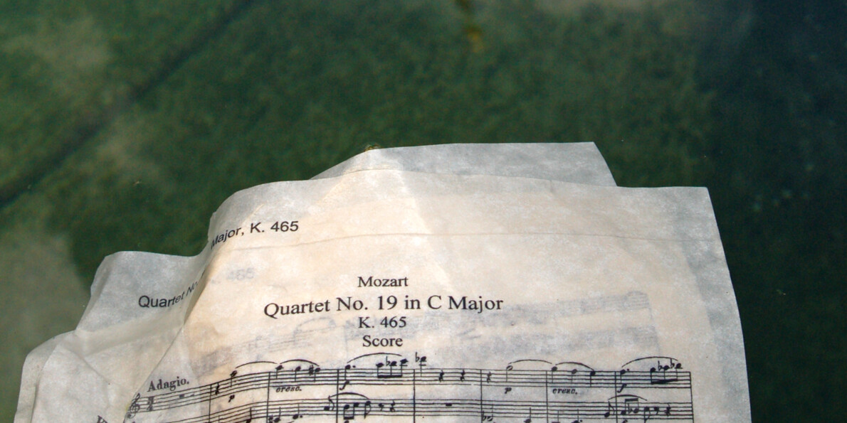 Art v přírodě a festivaly