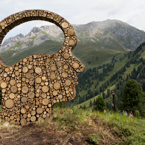 Umění v přírodě a festivaly 