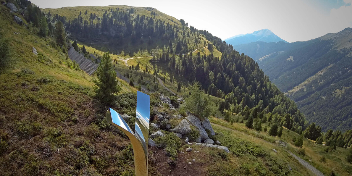 Sztuka w naturze i festiwali