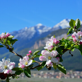 In spring, the Trentino is cloaked in green and white