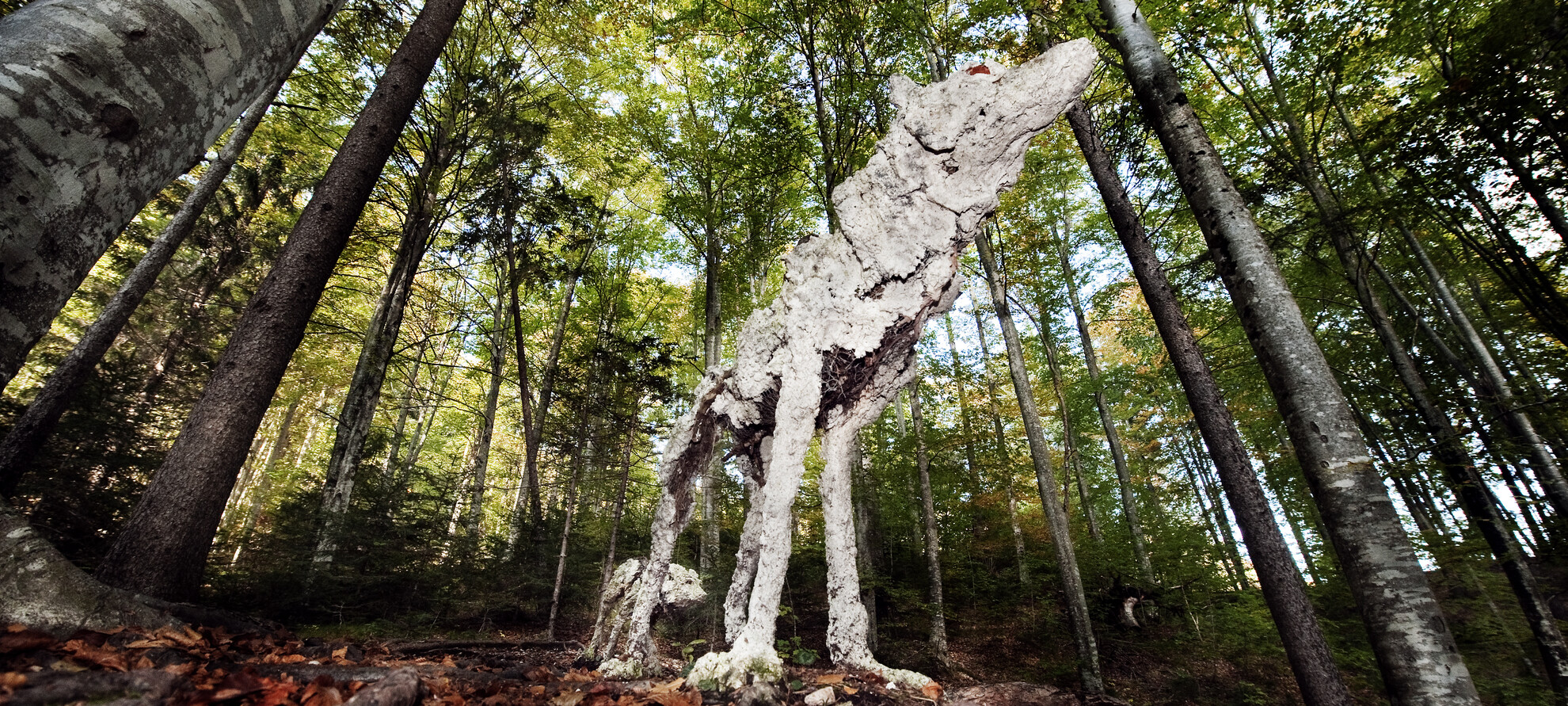 Land art in Trentino - Arte Sella