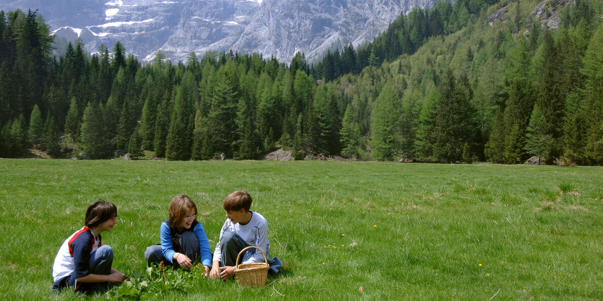 Ricette con le erbe spontanee del Trentino