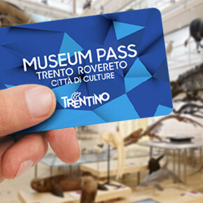 Museum Pass