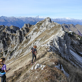Comano Ursus Extreme Trail