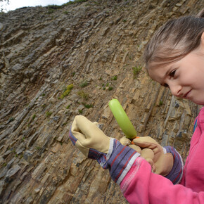 Learning through nature