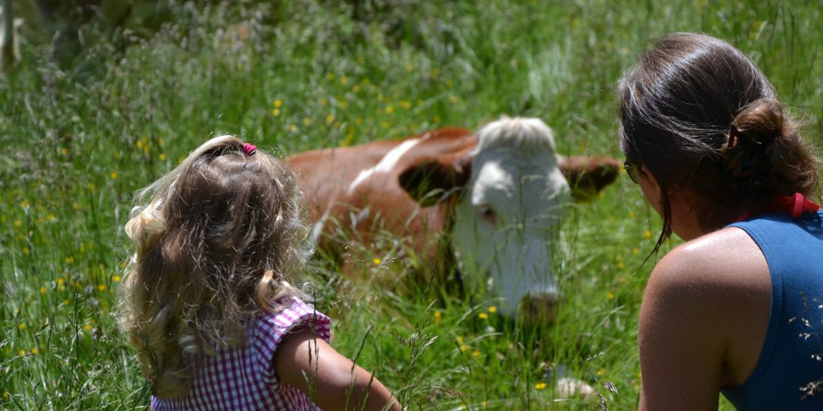 Summer events: the “Latte in Festa” dairy festival