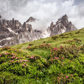 Primiero Dolomiti Marathon