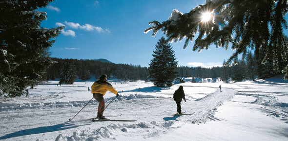 Centro Fondo Altopiano della Predaia
