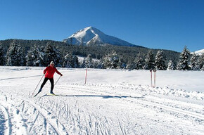 Centro fondo delle Regole di Malosco, ski holidays Val di Non