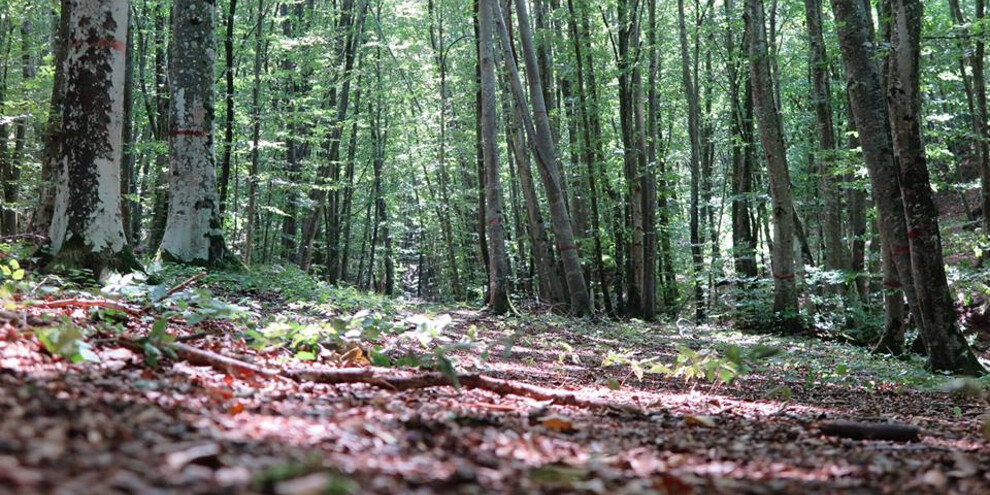 Wonderful landscapes to be photographed in the autumn, during a family trip