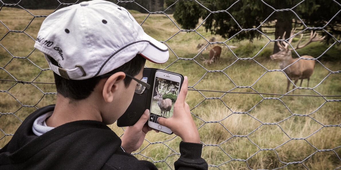 Parchi naturali del Trentino da visitare con i bambini