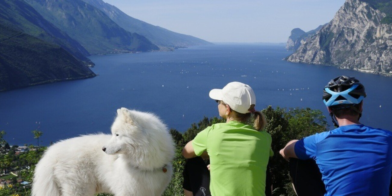 Dogs areas and pet friendly beaches on Lake Garda #1