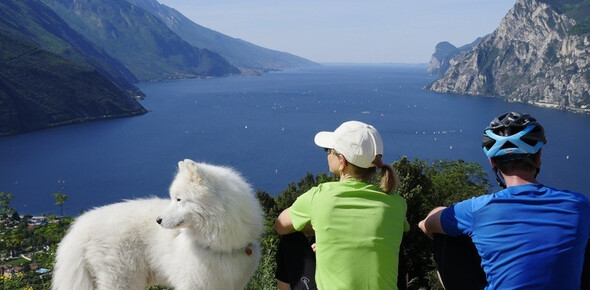 Dogs areas and pet friendly beaches on Lake Garda