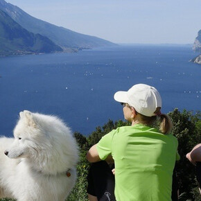 Dogs areas and pet friendly beaches on Lake Garda