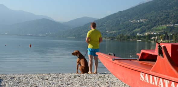 Dog friendly beaches