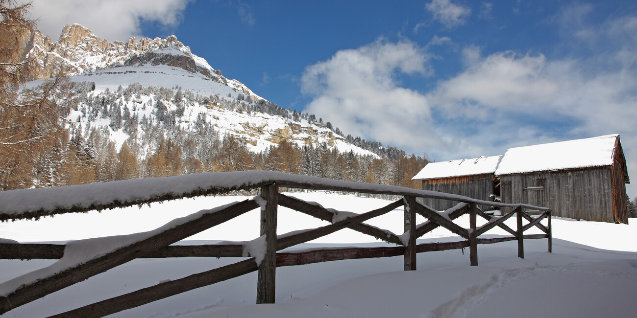 Passo Costalunga #1