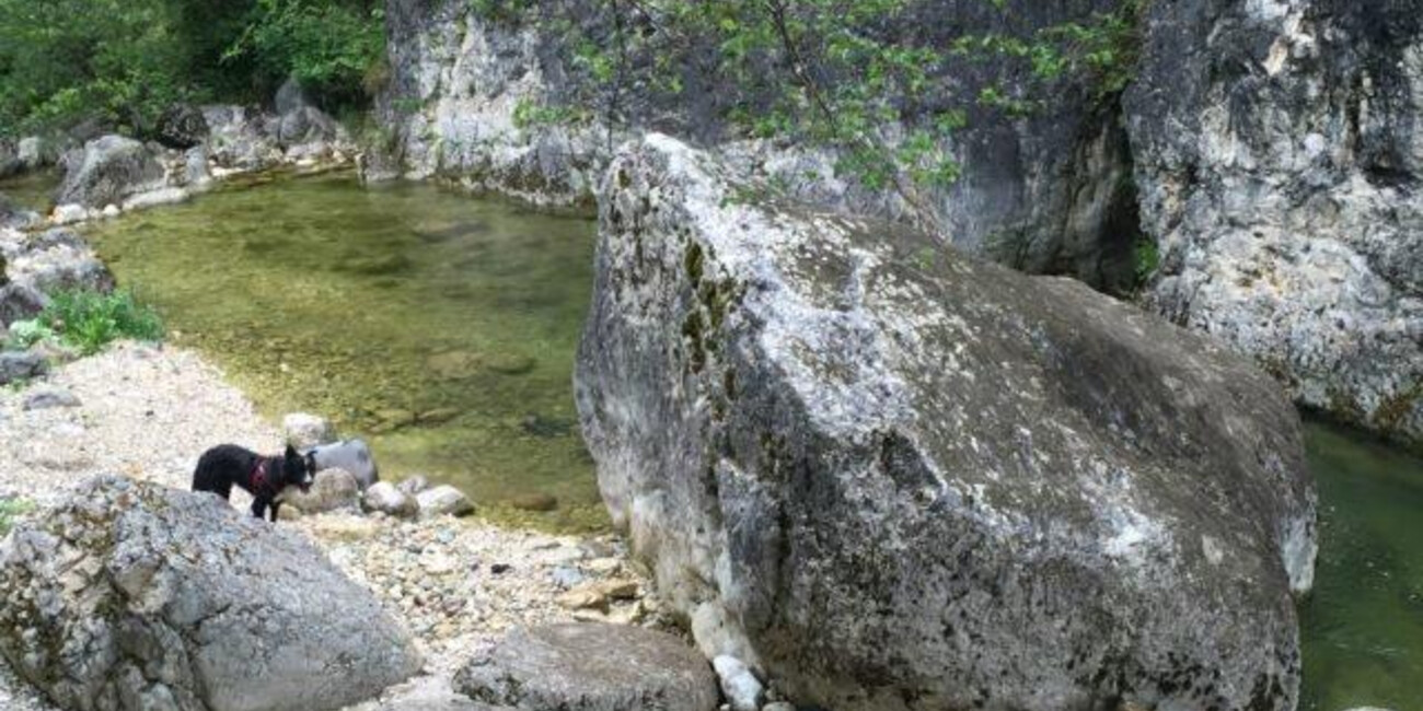 A dip in the Leno stream, not far from Rovereto #2