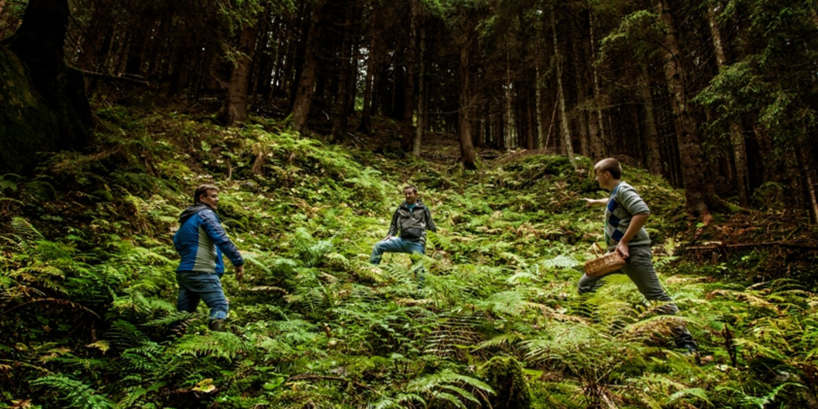 Contact with nature in October in the Trentino Forests