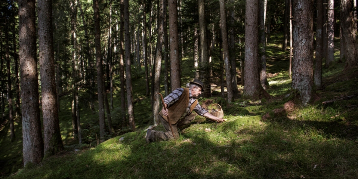 Outdoor activities in October and November in the mountains - italy