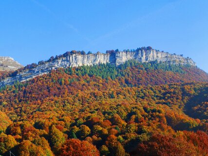 Parco_Monte_Baldo_Autunno_Nicola_Campostrini | © Parco_Monte_Baldo_Autunno_Nicola_Campostrini