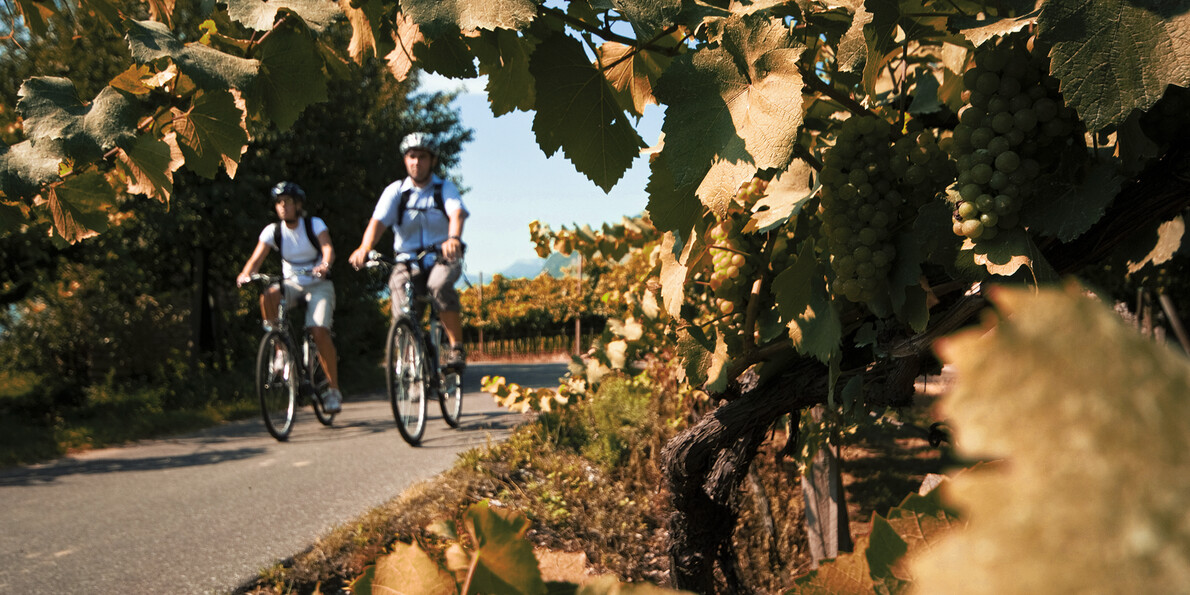 Museums and places of culture can be reached by bicycle in the autumn