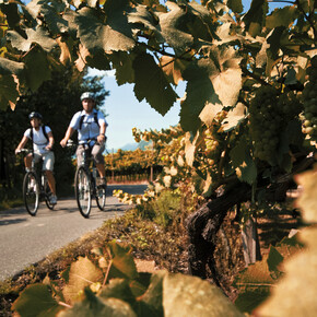 Museums and places of culture can be reached by bicycle in the autumn