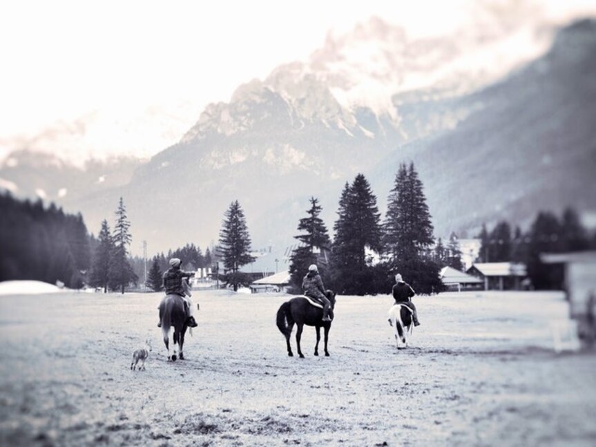 Charlotte Horse Riding