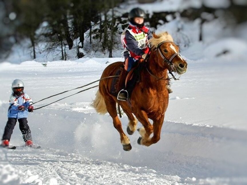 Charlotte Horse Riding