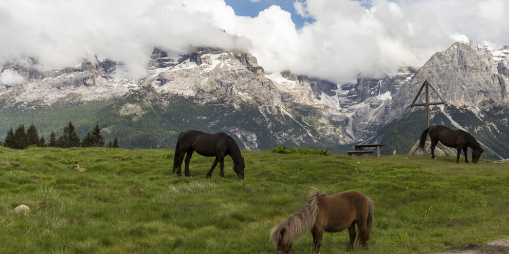 Куда: Мальга-Риторто, Мадонна-ди-Кампильо