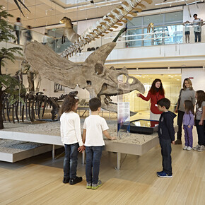 Musei a misura di bambino