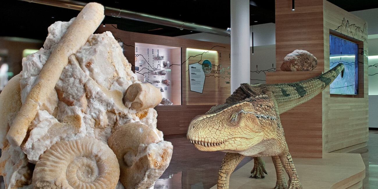 Geological Museum of the Dolomites #2 | © Fossile_Museo_Geologico_Predazzo_photo DFerrari