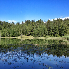 Lago di Tret