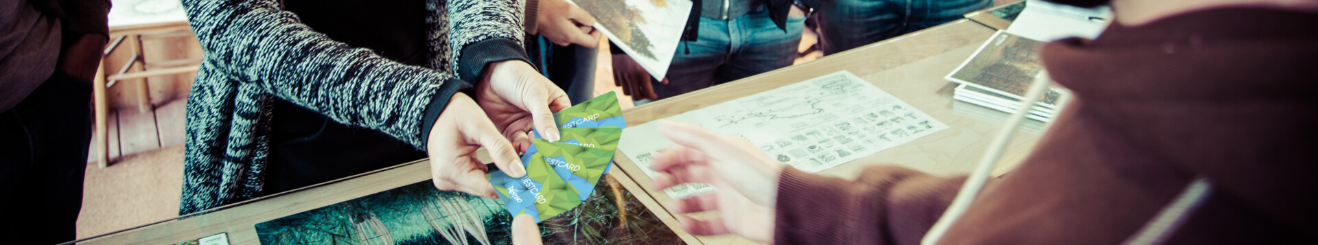 Your holiday, experiences included