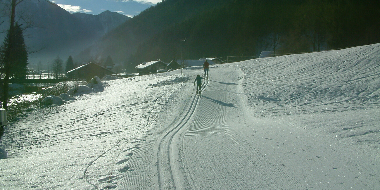 Centro fondo Carisolo #2