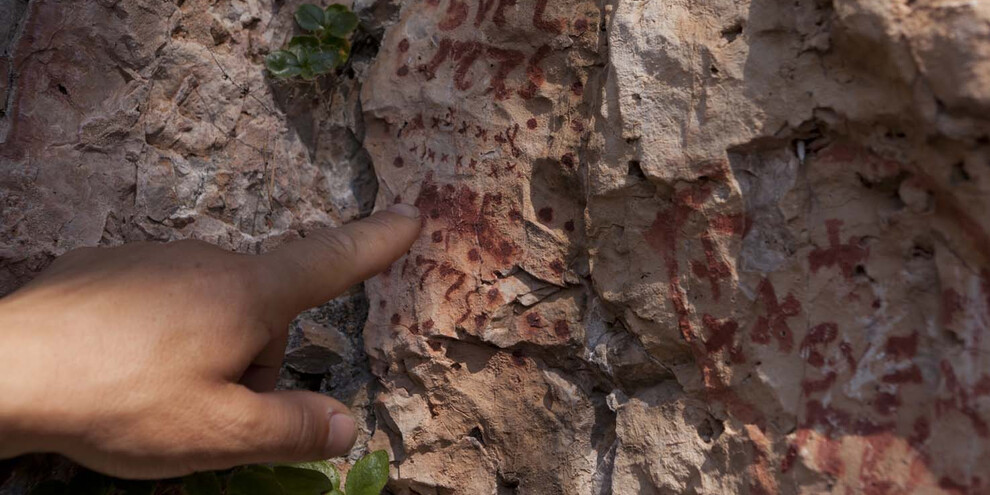 Writings of the shepherds