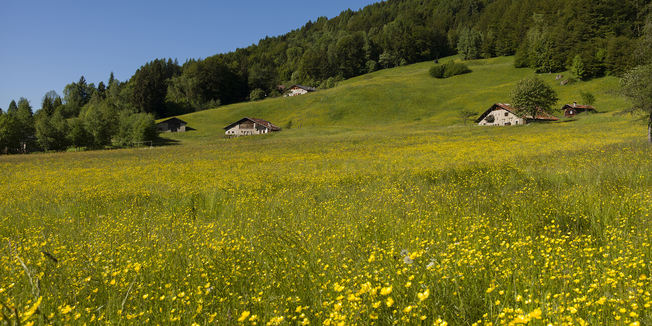 Bersone   #2