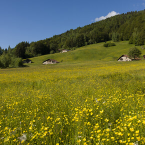 Altopiano di Boniprati 