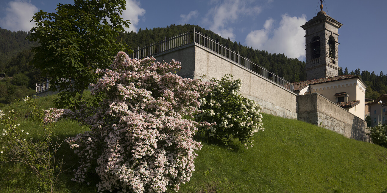 Brione  #2