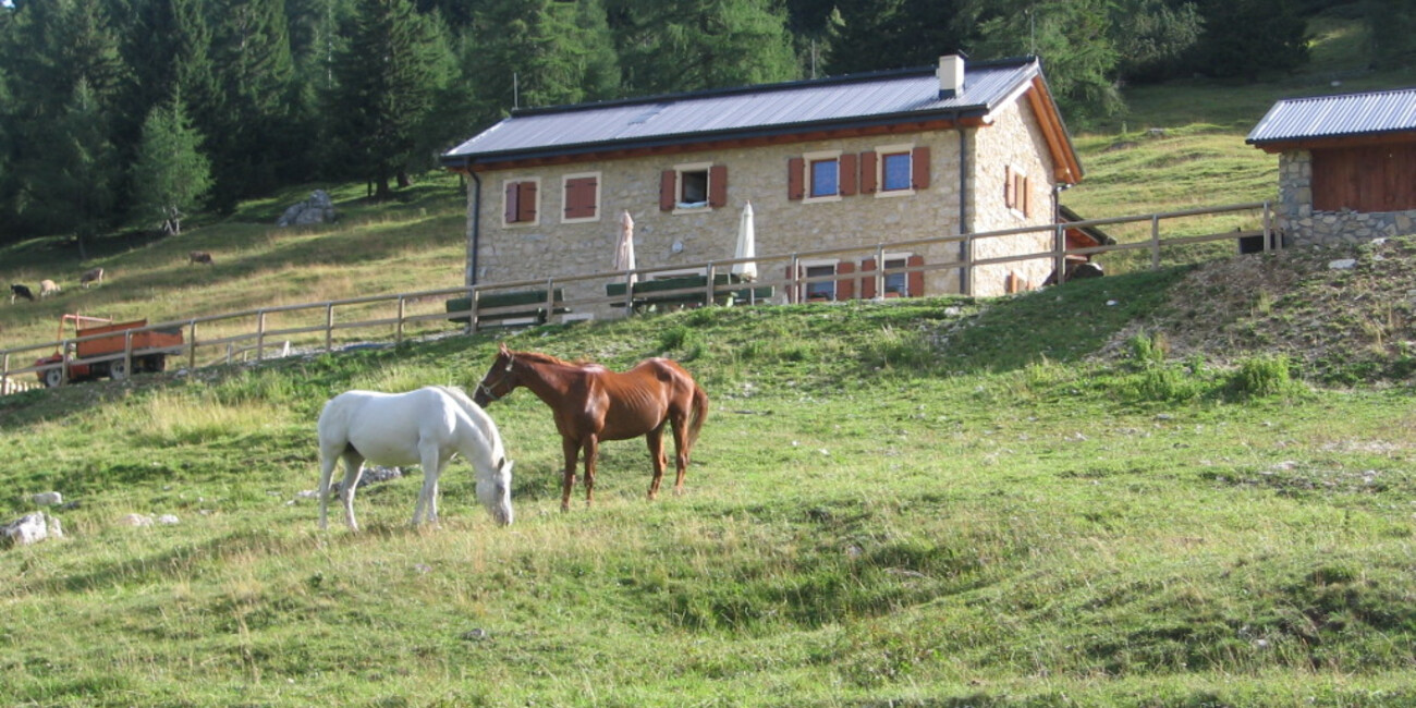 Malga Zocchi farmstead #1