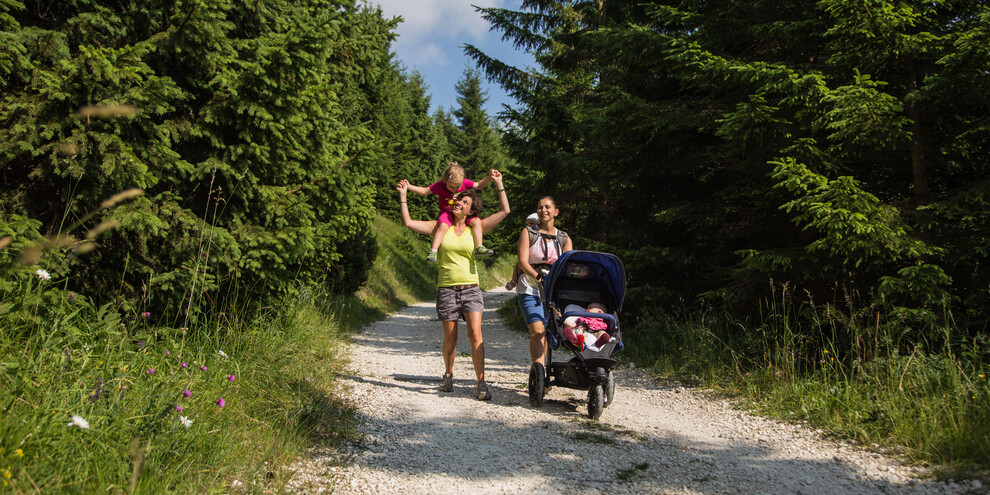 Alpe Cimbra, the Cimbrian trail of Imagination 